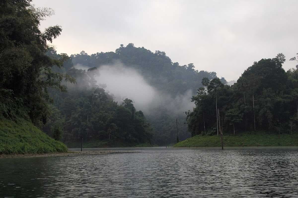 Misty Morning View at Cheow Lan Lake