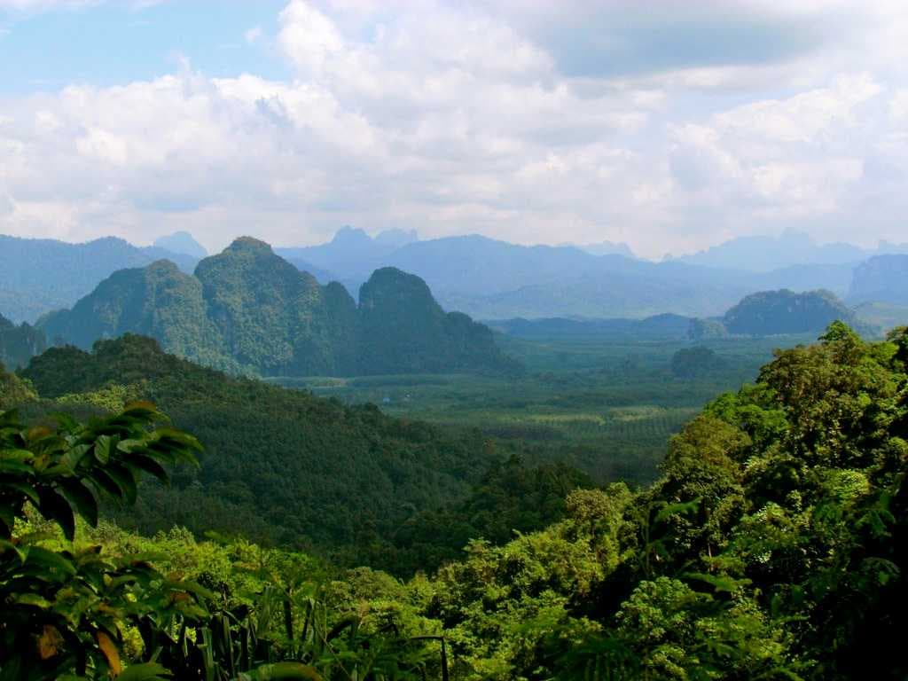 Phenomenal View of Khao Sok National Park