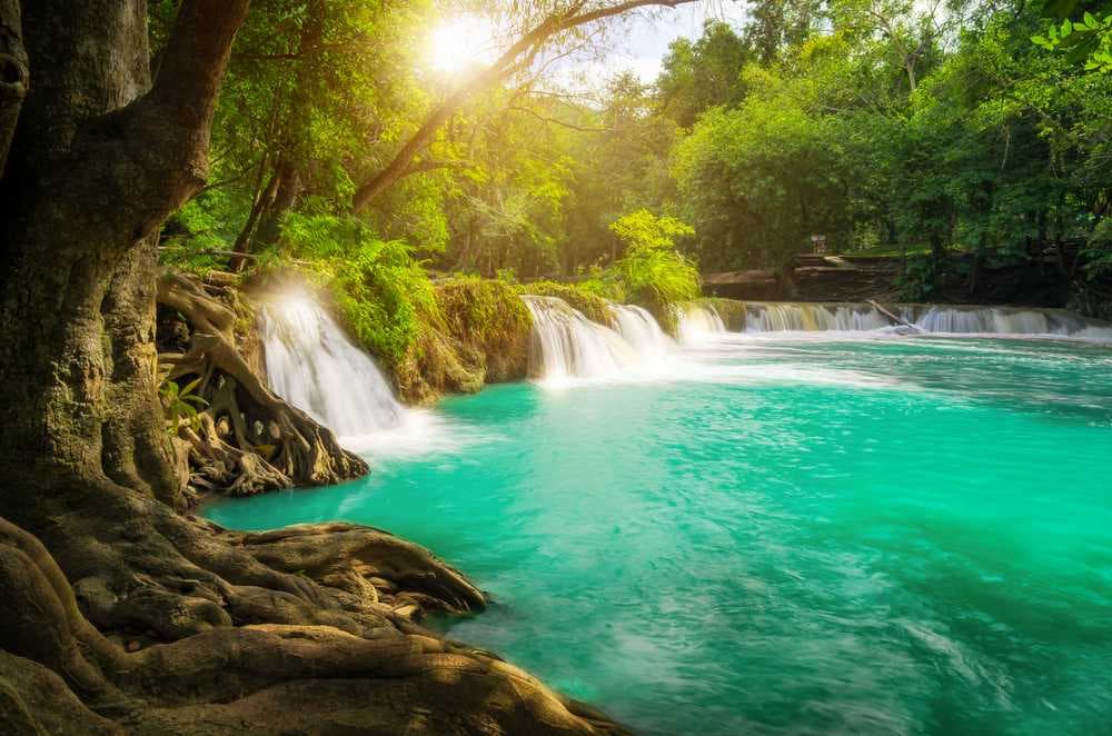 Khao Yai National Park