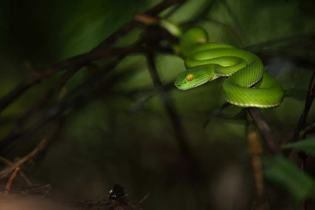 Wildlife travel image