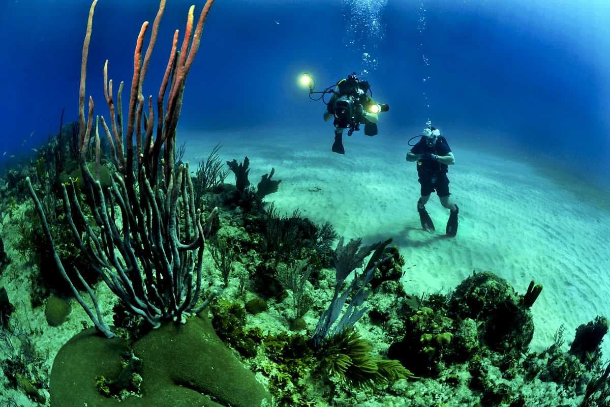 Scuba Divers Exploring the Marine Life, Koh Nang Yuan