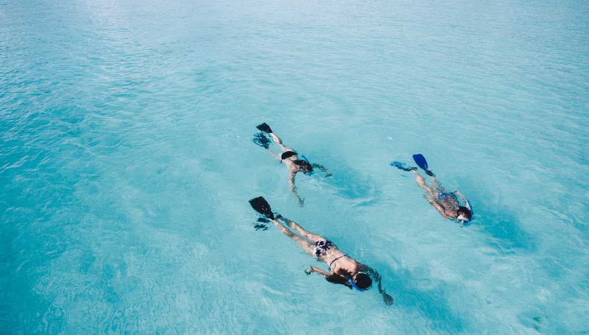 Snorkeling in the Shallow Waters of Koh Poda