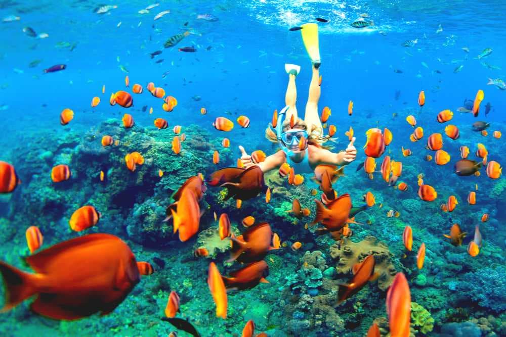 Snorkeling - Must-Do Activity in Koh Rok