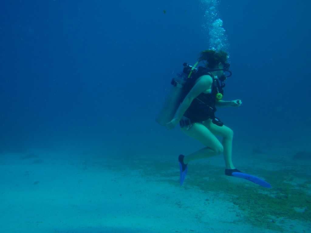Scuba diving in Koh Samet travel image