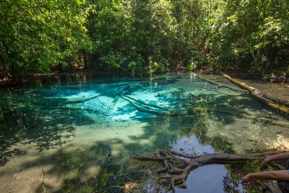 Thung Teao Forest Natural Park travel image