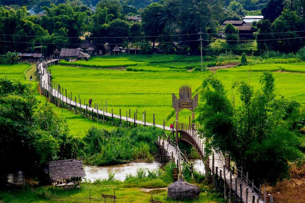 Early Morning View of Su Tong Pae Bamboo Bridge