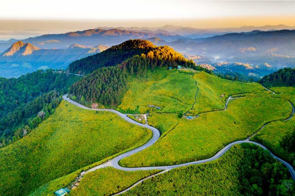 Stunning View of Tung Bua Tong, Mae Hong Son