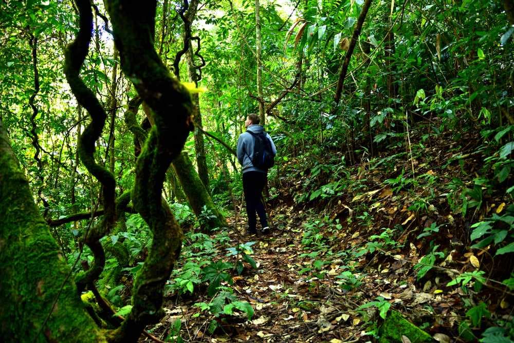 Enthralling Trekking Adventure in Mae Hong Son