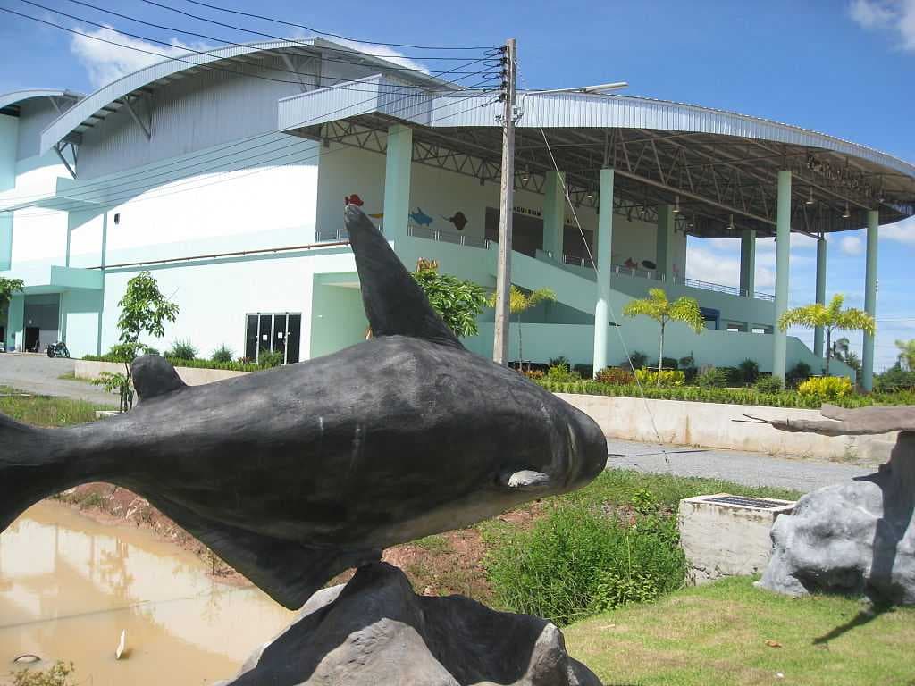 Nong Khai Aquarium - Large Aquarium with a Wide Collection of Fishes