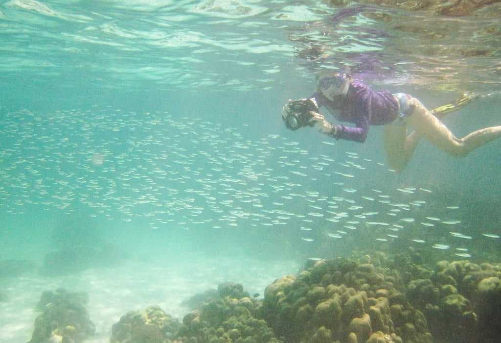 Diver Snorkelling in Koh Larn, Pattaya