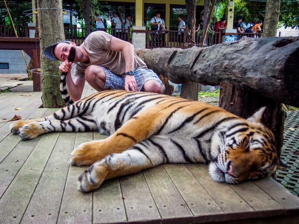 Tiger Kingdom - Opened on 2013, Phuket