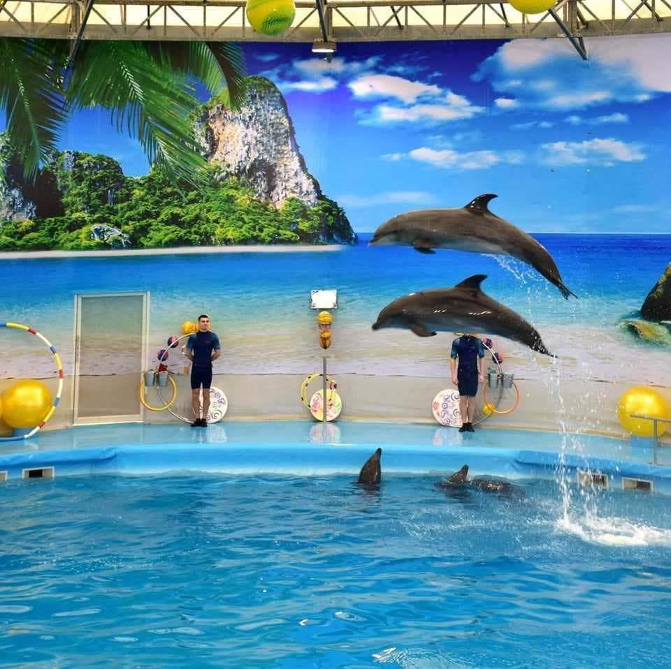 Dolphine Bay Phuket - Aquatic Theme Park