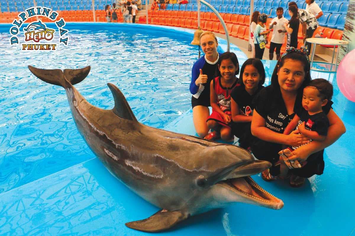 The Day Show at the Dolphins Bay, Phuket