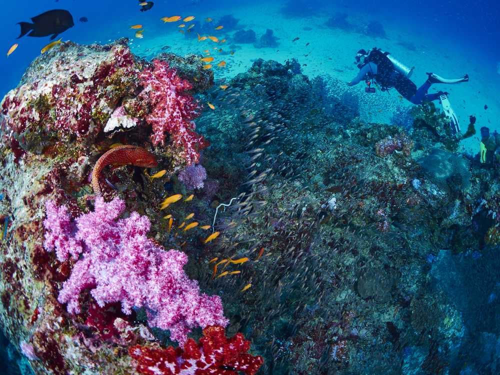Similan Islands