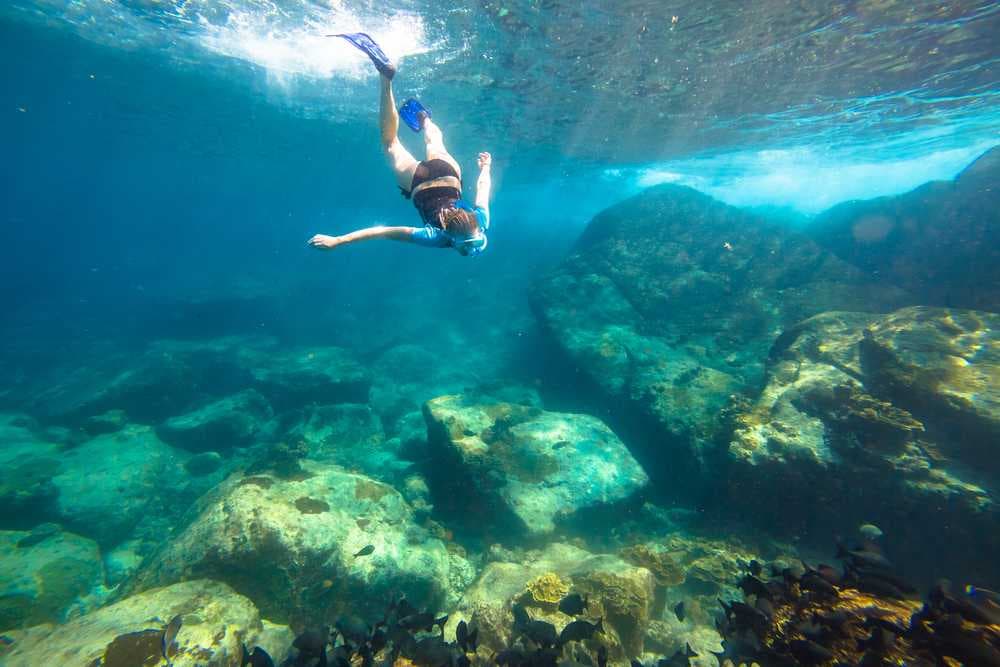 Snorkelling - One of the Most Significant Water Sports in Similan Islands