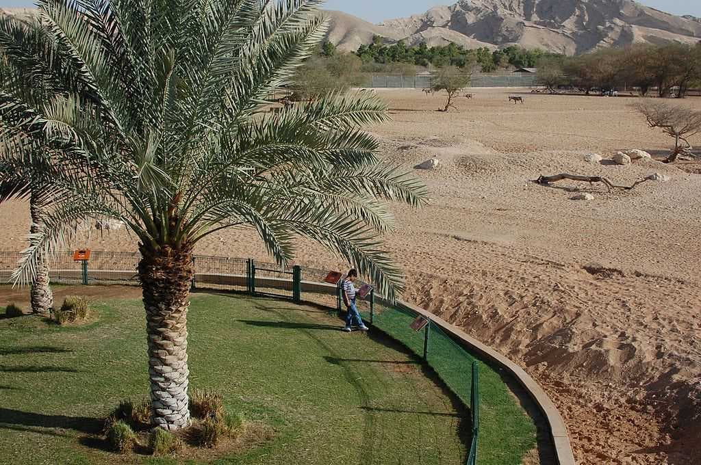 Al Ain travel image