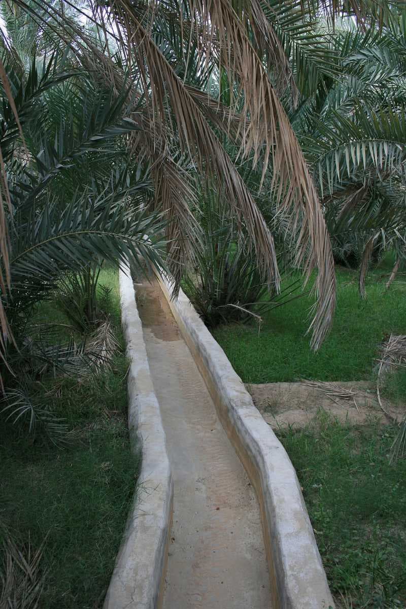 The falaj irrigation system at Al Ain Oasis