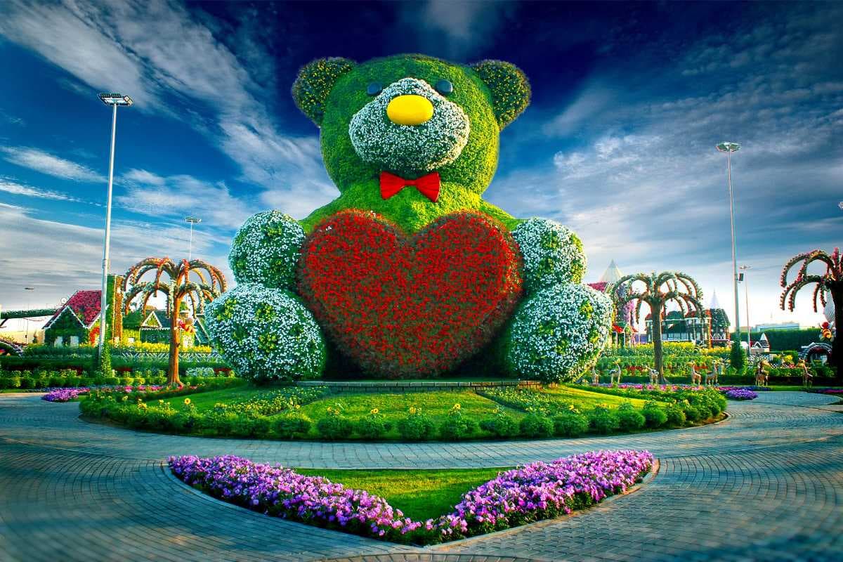 Teddy Bear