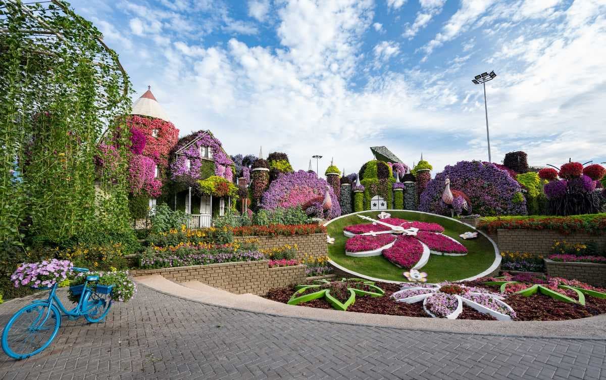 Hilltop at Miracle Garden