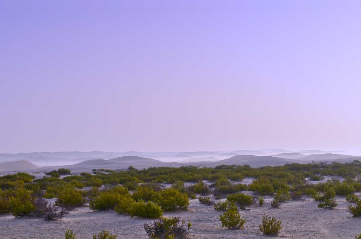 Panoramic View of Madinat Zayed Desert