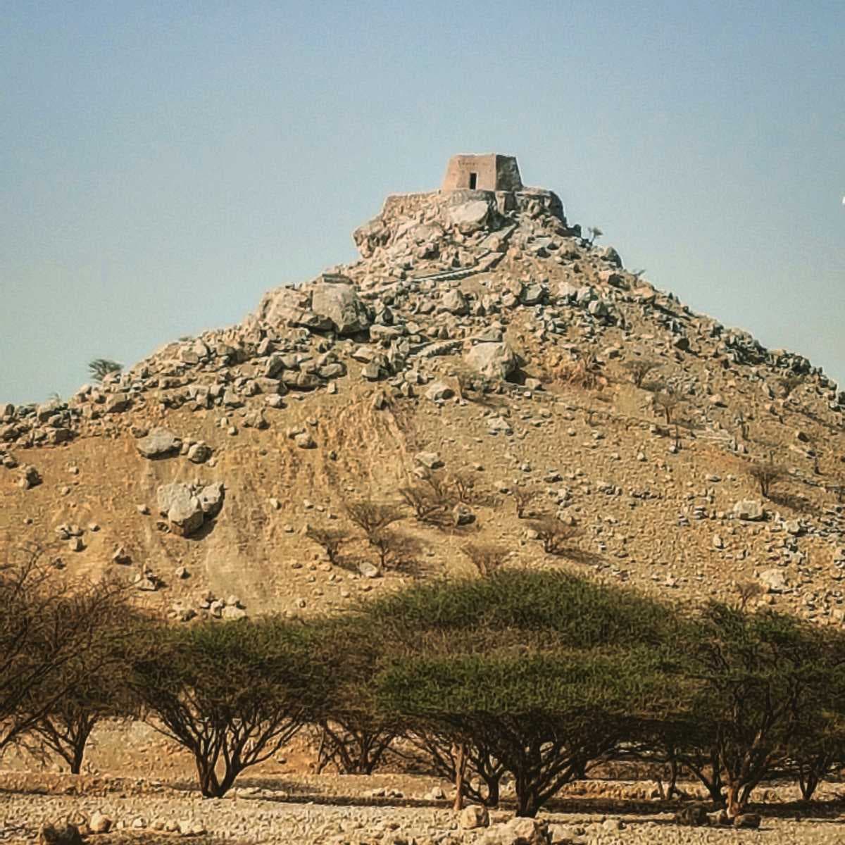 Dhayah Fort travel image