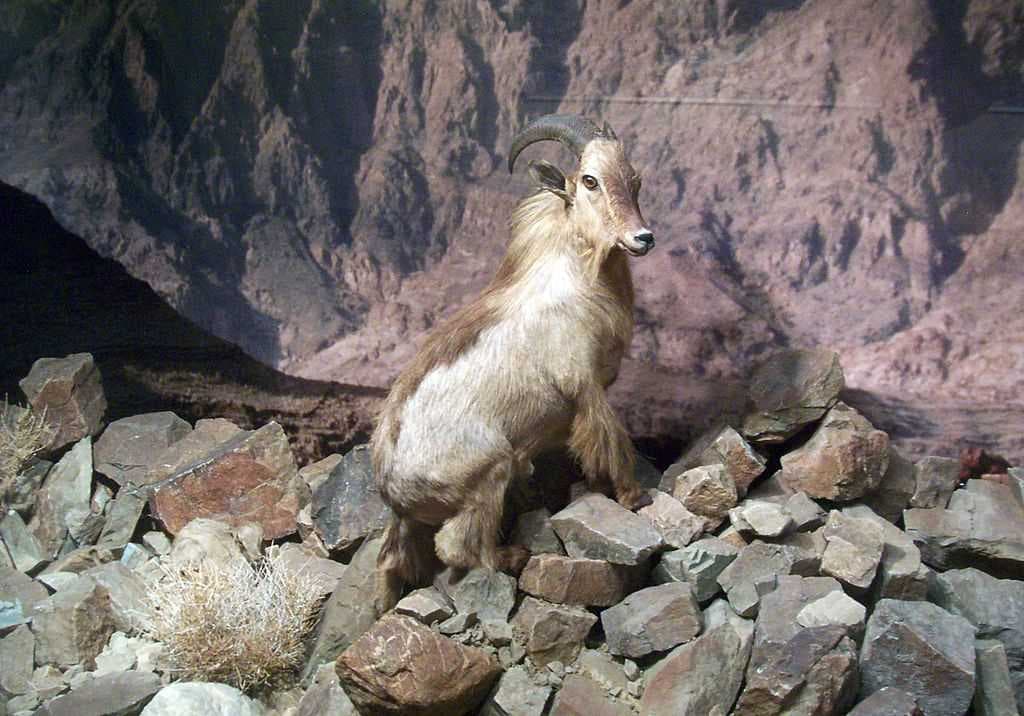 Hajar Mountains travel image