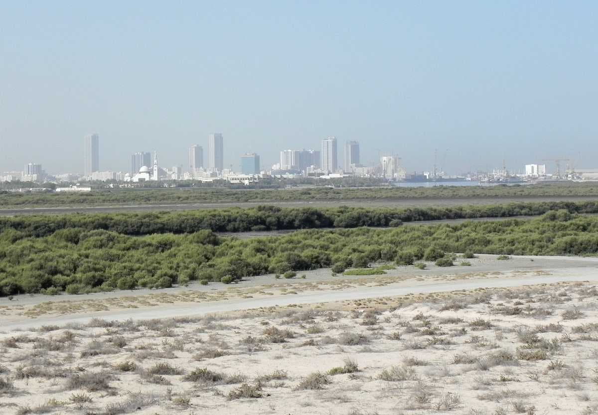 Cityscape View of Umm Al Quwain