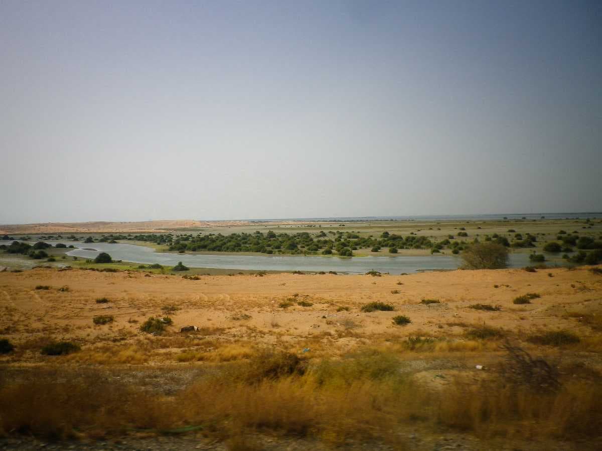 Marshland in the Umm Al Quwain