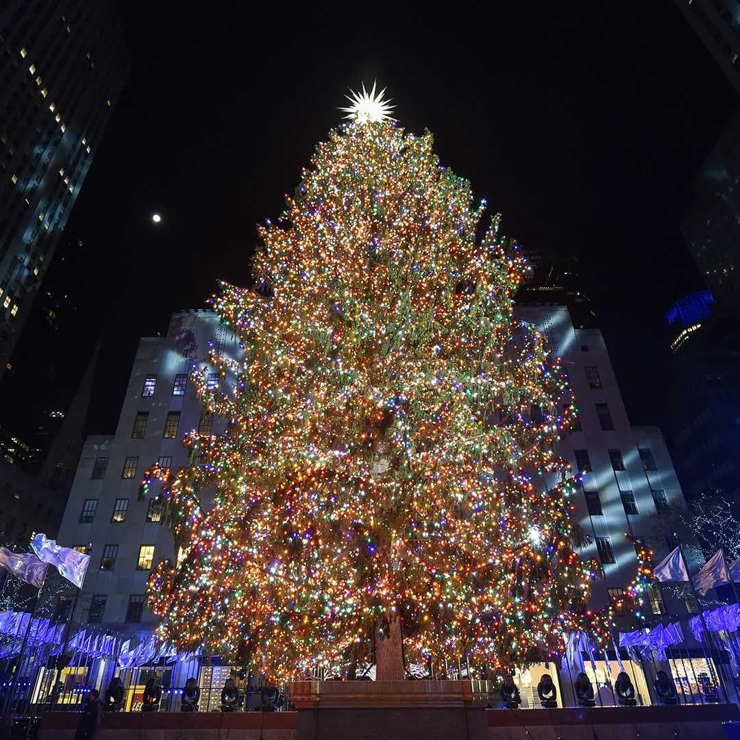 Picture of festival lights, Rodeo drive holiday lighting