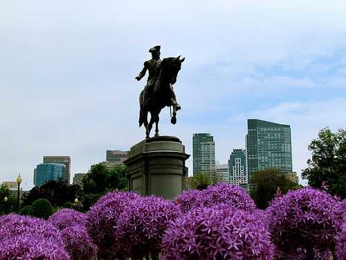 Boston travel image