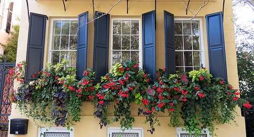 Charleston travel image
