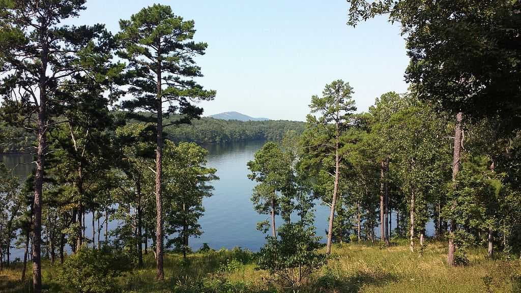 Lake Hamilton, viewed from Garvan Woodland Gardens