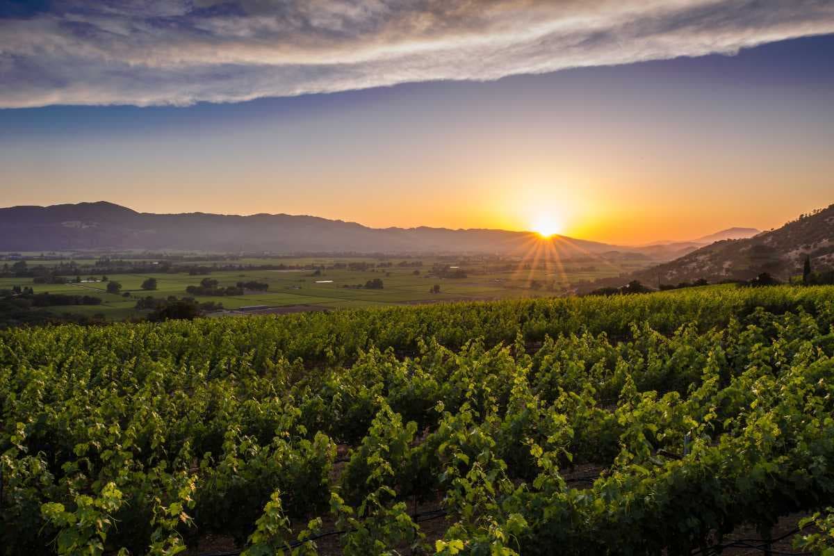 Napa Valley