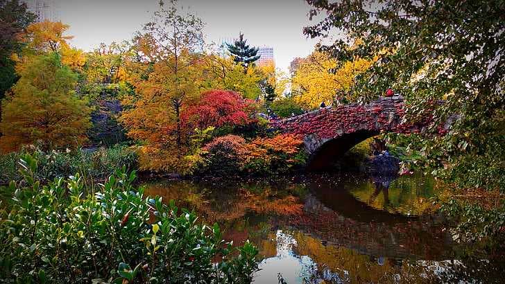 Central Park, NYC