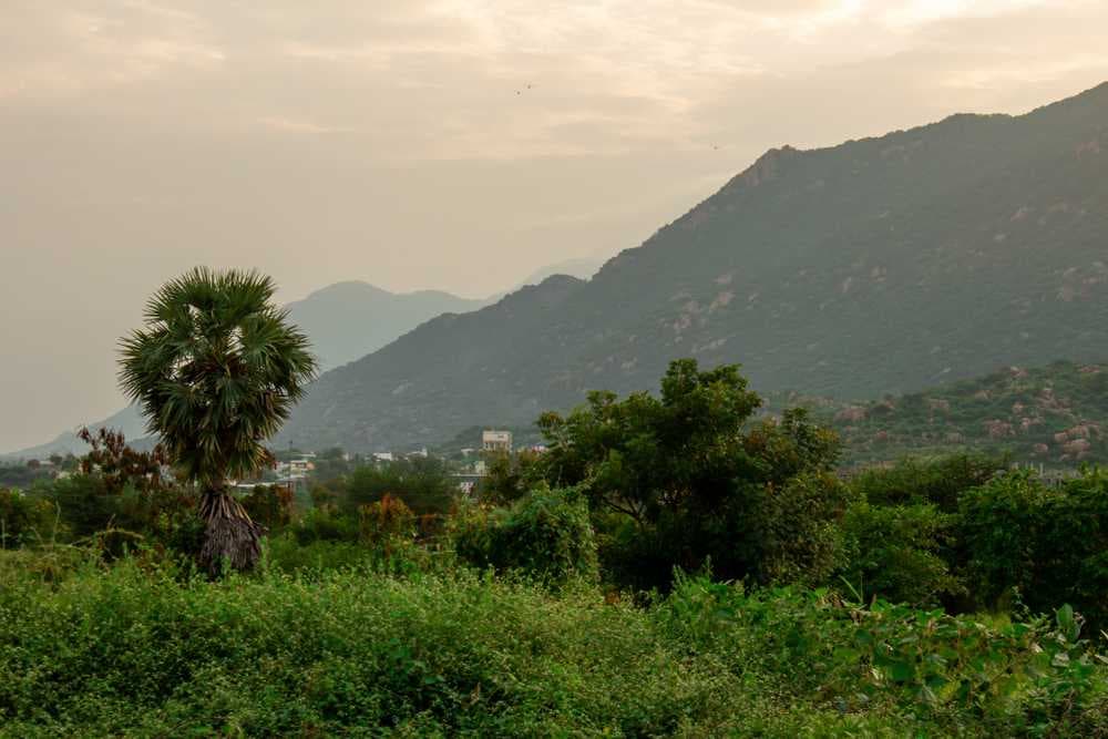 Sankagiri - Panoramic View