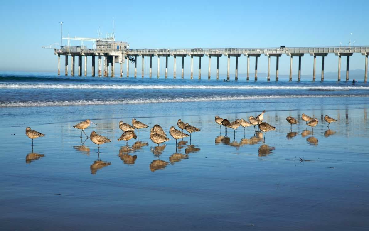 La Jolla