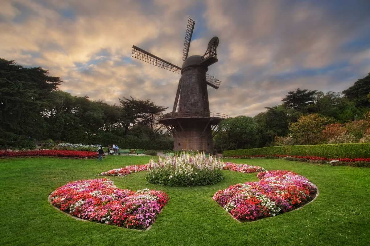 Sun setting at the windmill at the Queen Wilhemina Tulip garden, San Francisco