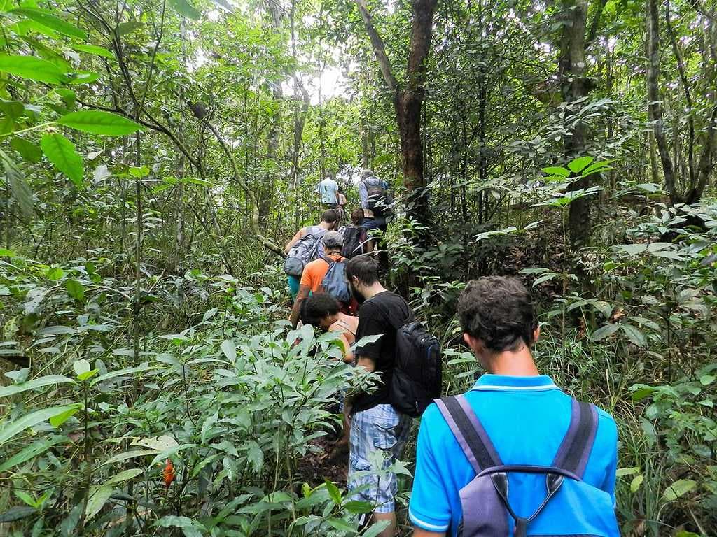 Jungle Trekking in Ba Be National Park