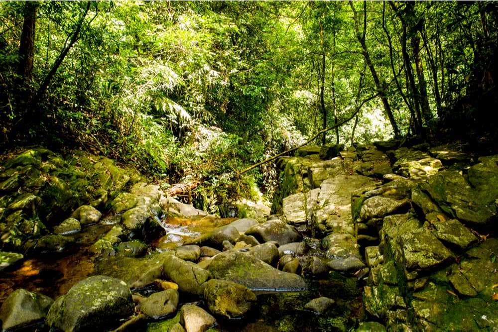 Bach Ma National Park