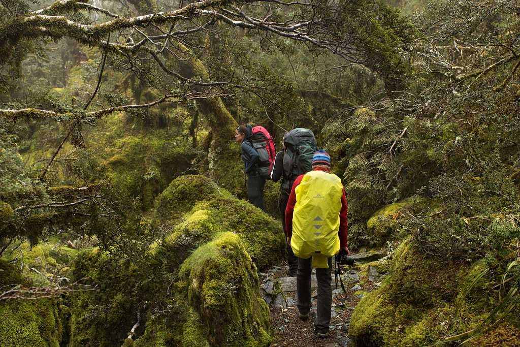 Hiking Trails in Bach Ma National Park