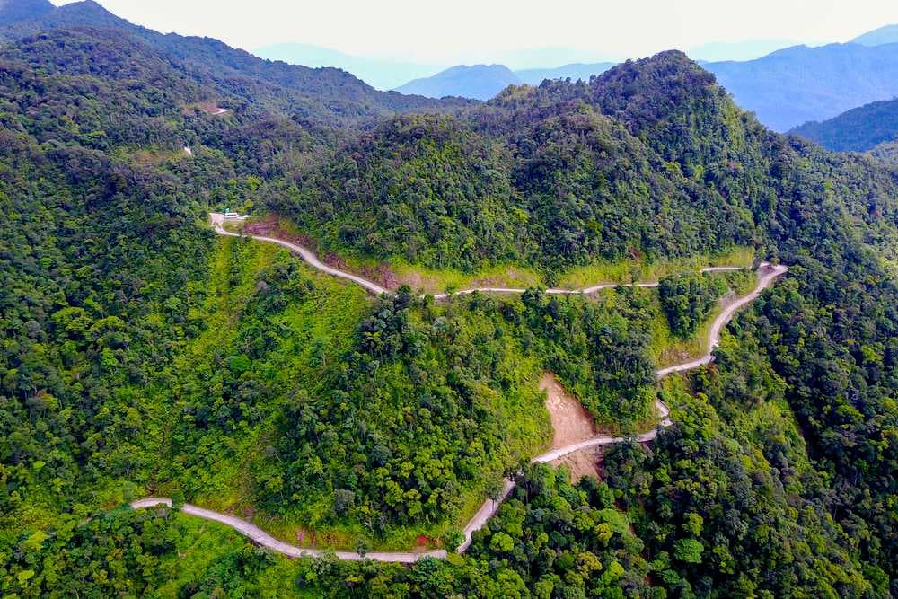 Road Path in Bach Ma National Park