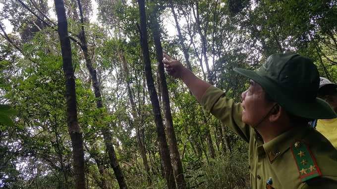 Bird Watching in Bach Ma National Park