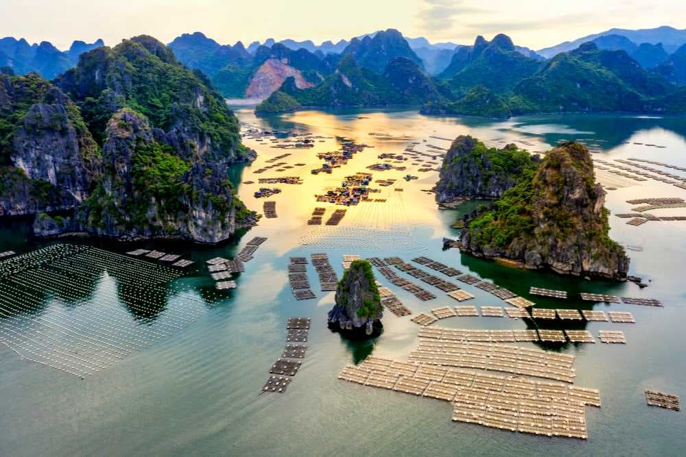 Aerial View of Fishing Village