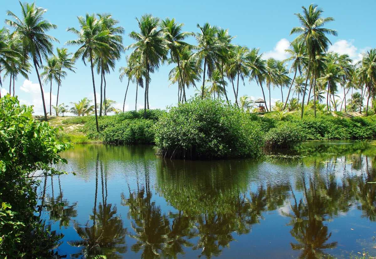 Ben Tre
