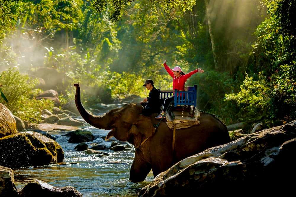 Elephant Rides in Buon Ma Thout