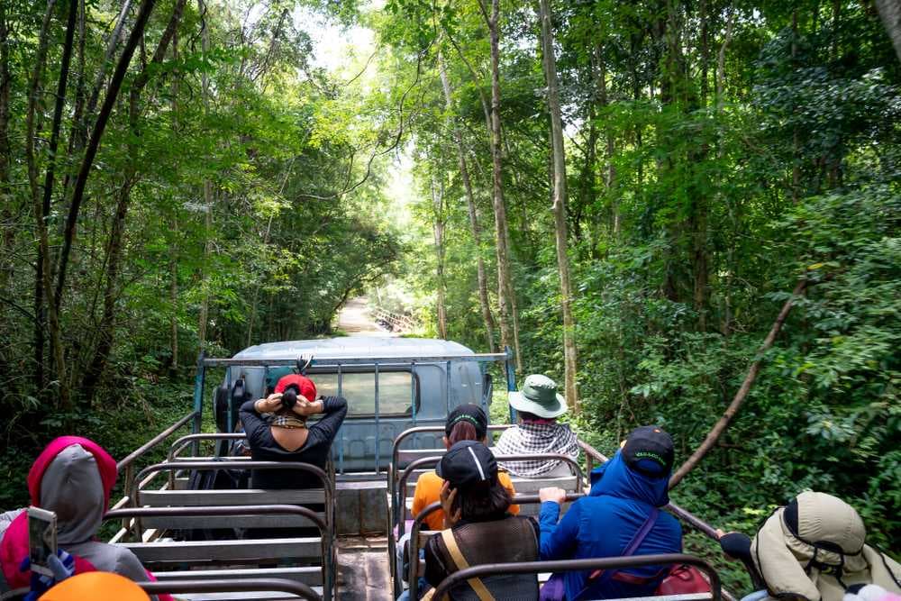 Jungle Safari - Cat Tein National Park
