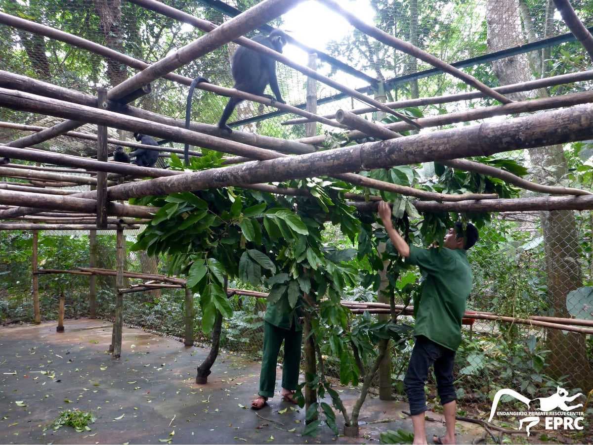 Dao Tien Endangered Primate Species Centre