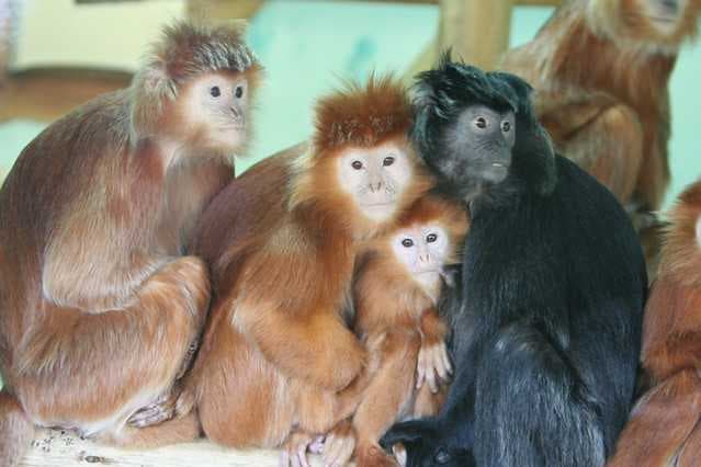 Cat Tien National Park - Home to Various Mammal Species