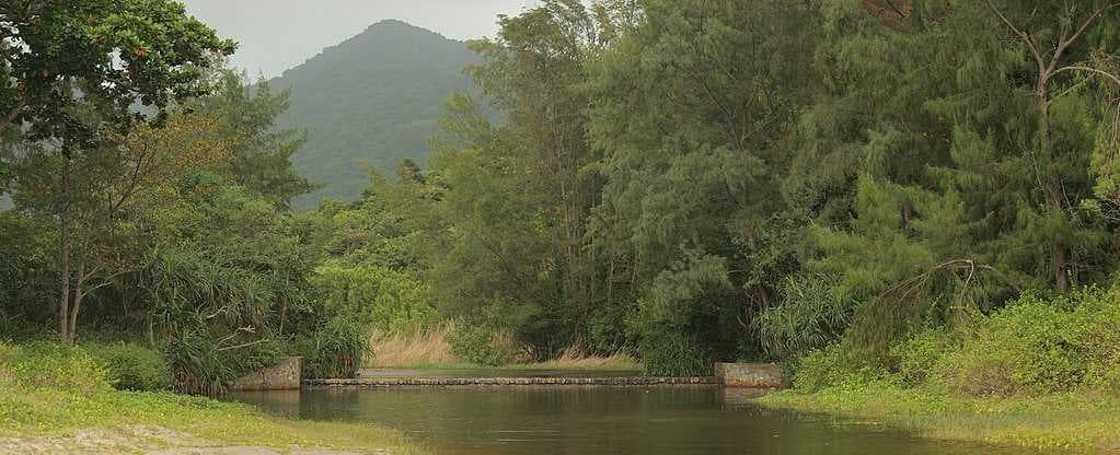 Con Dao Islands travel image
