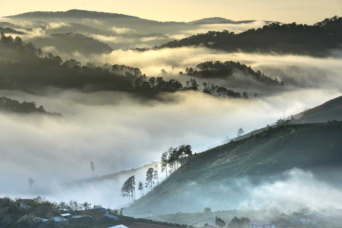 Dalat travel image